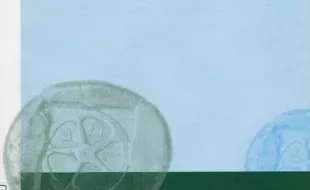 donne nella rete copertina